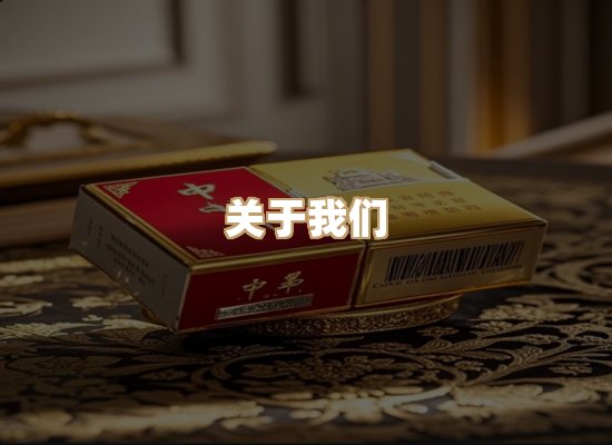 关于御龙烟网